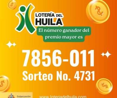 Imagen Sorteo 4731