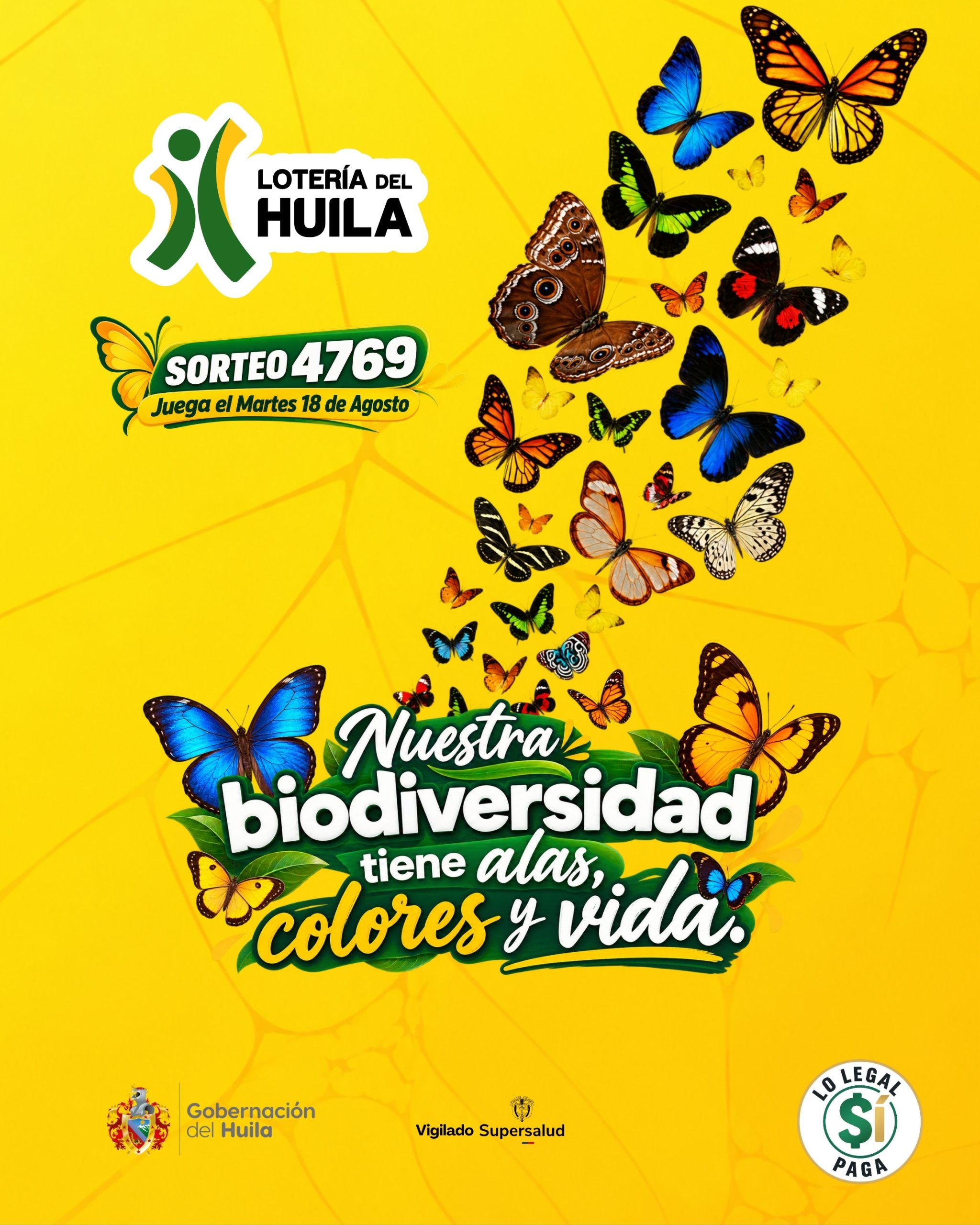 sorteo4769